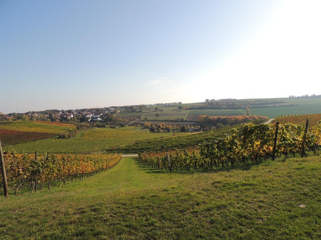 Weingut Seck Dolgesheim Exterior foto